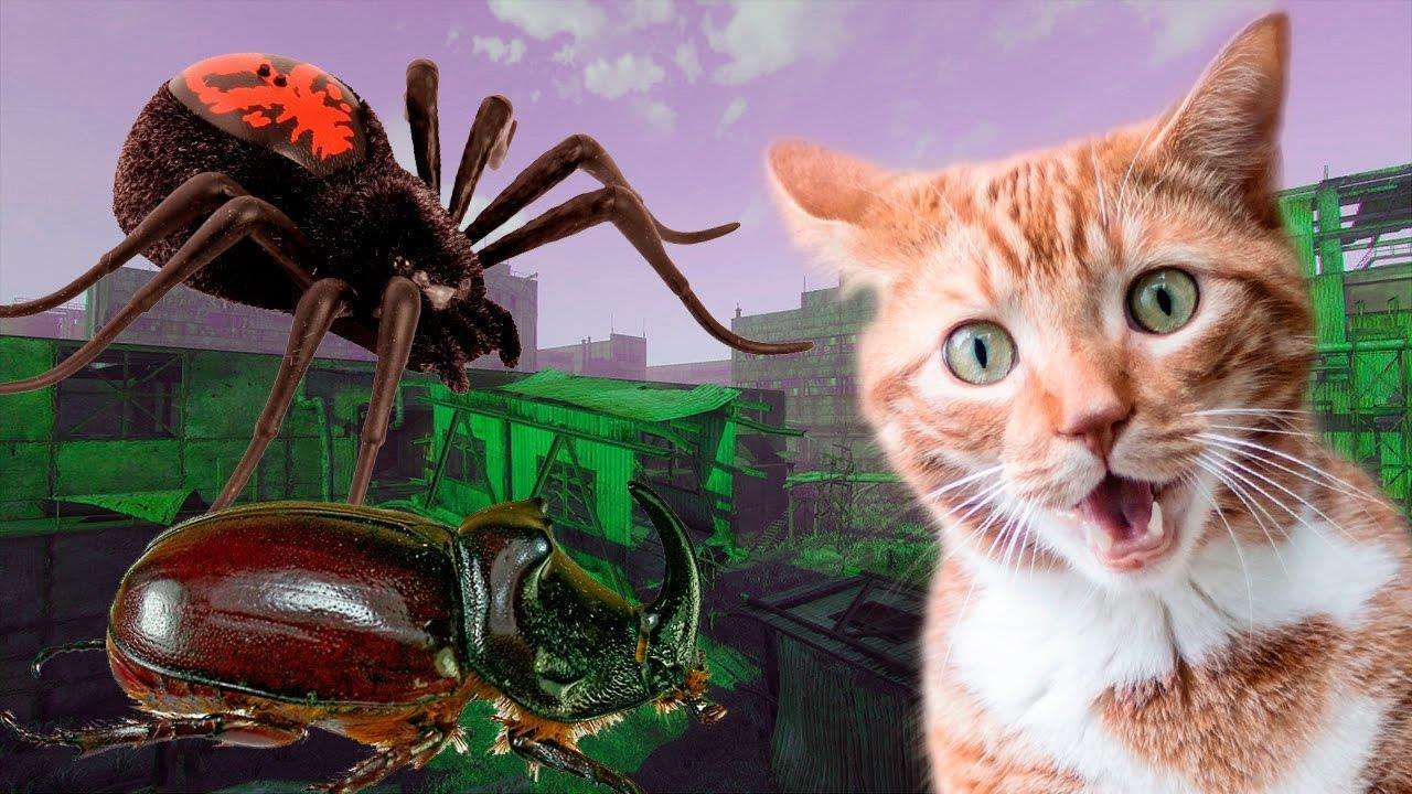 В коробке жуки и пауки. Макс Жук. Воробей и паук. Spider Cat.