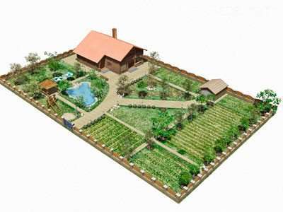 С чего начать планирование огорода и сада