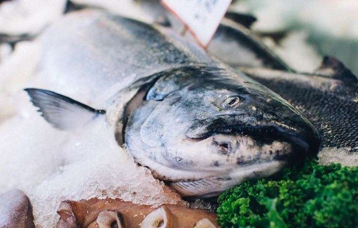 Общие принципы приготовления рыбного паштета