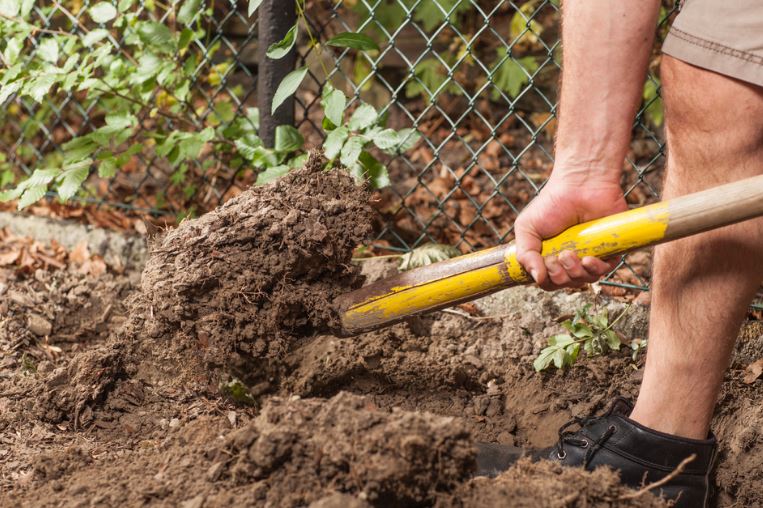 Как улучшить песчаную почву: способы