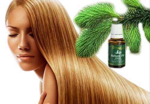 Пихтовое масло для волос: применение