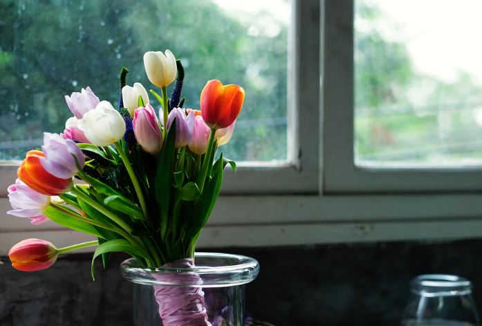 Какие цветы не стоит дарить на 8 марта?