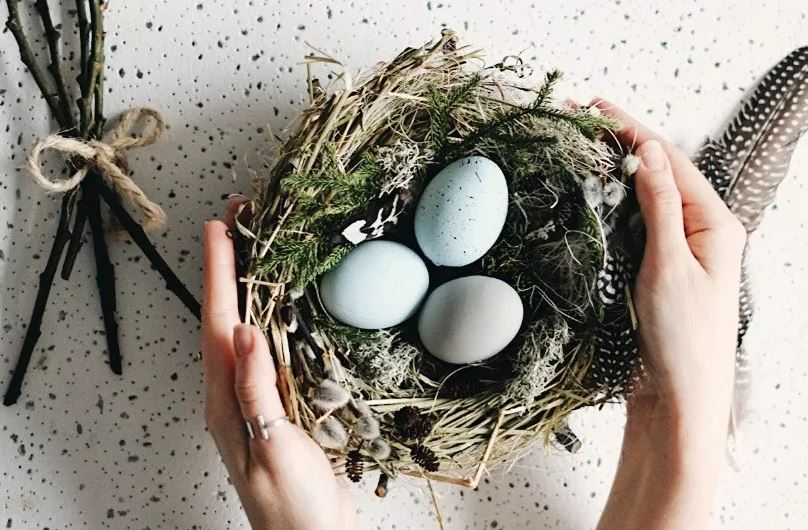 Подставки для яиц в виде гнезда: как сделать?