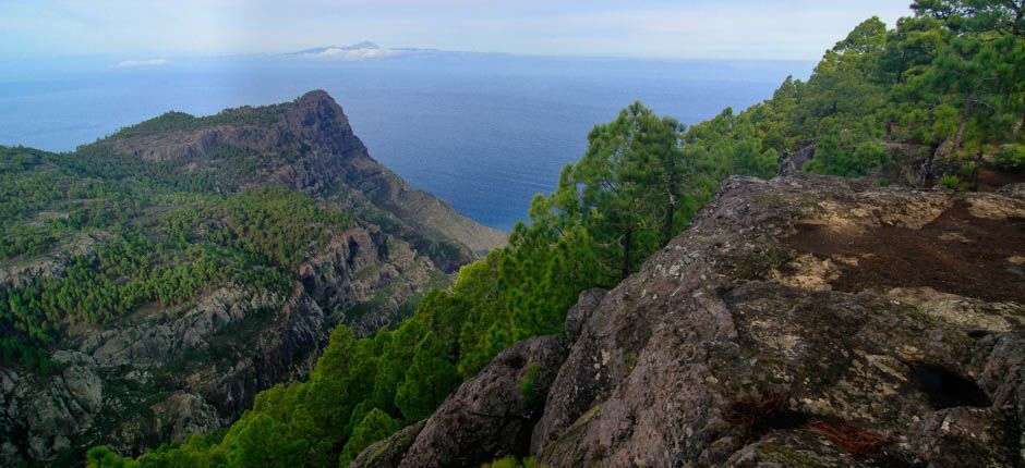 Канарские острова: что посмотреть в парке Тамадаба и в реликтовом лесу Анага?