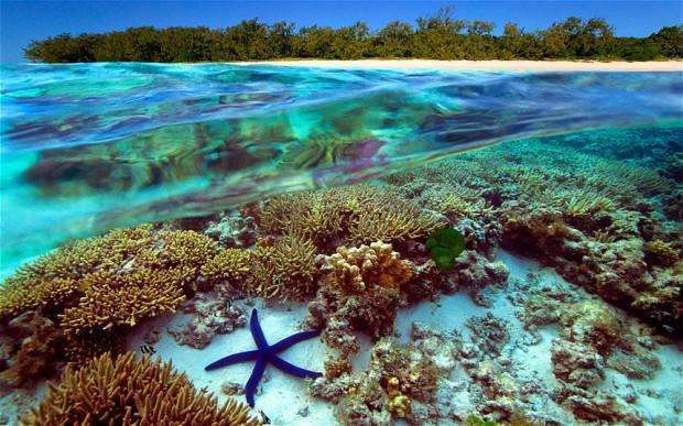 Остров Новая Каледония: достопримечательности в пределах острова