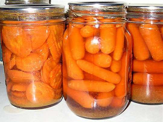 ботва моркови заготовки на зиму