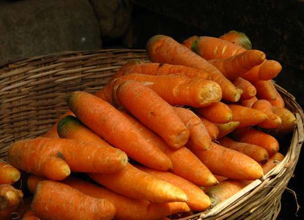 Как лучше сохранить морковь в квартире?