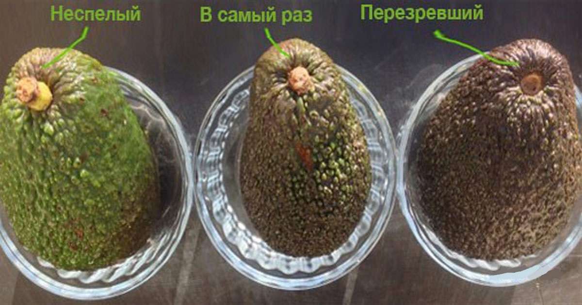 Как правильно выбрать авокадо в магазине?