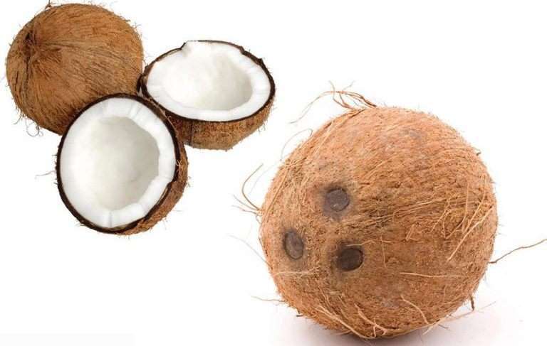 как выбрать хороший кокос