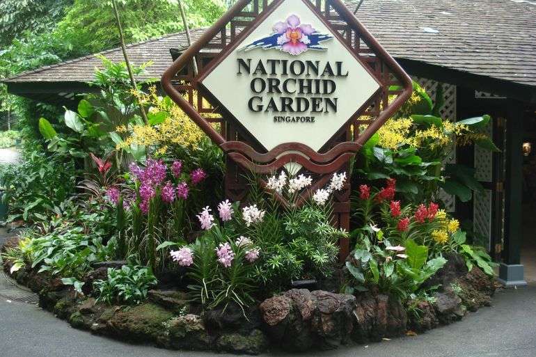 Достопримечательности Сингапура парки: Ботанический сад и Парк птиц Джуронг