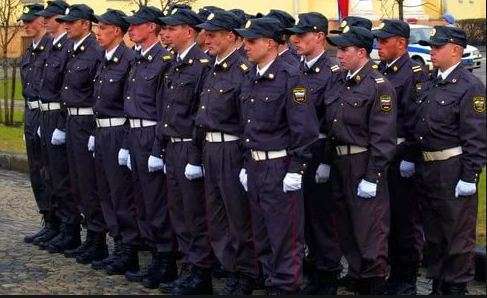 День патрульно-постовой службы полиции