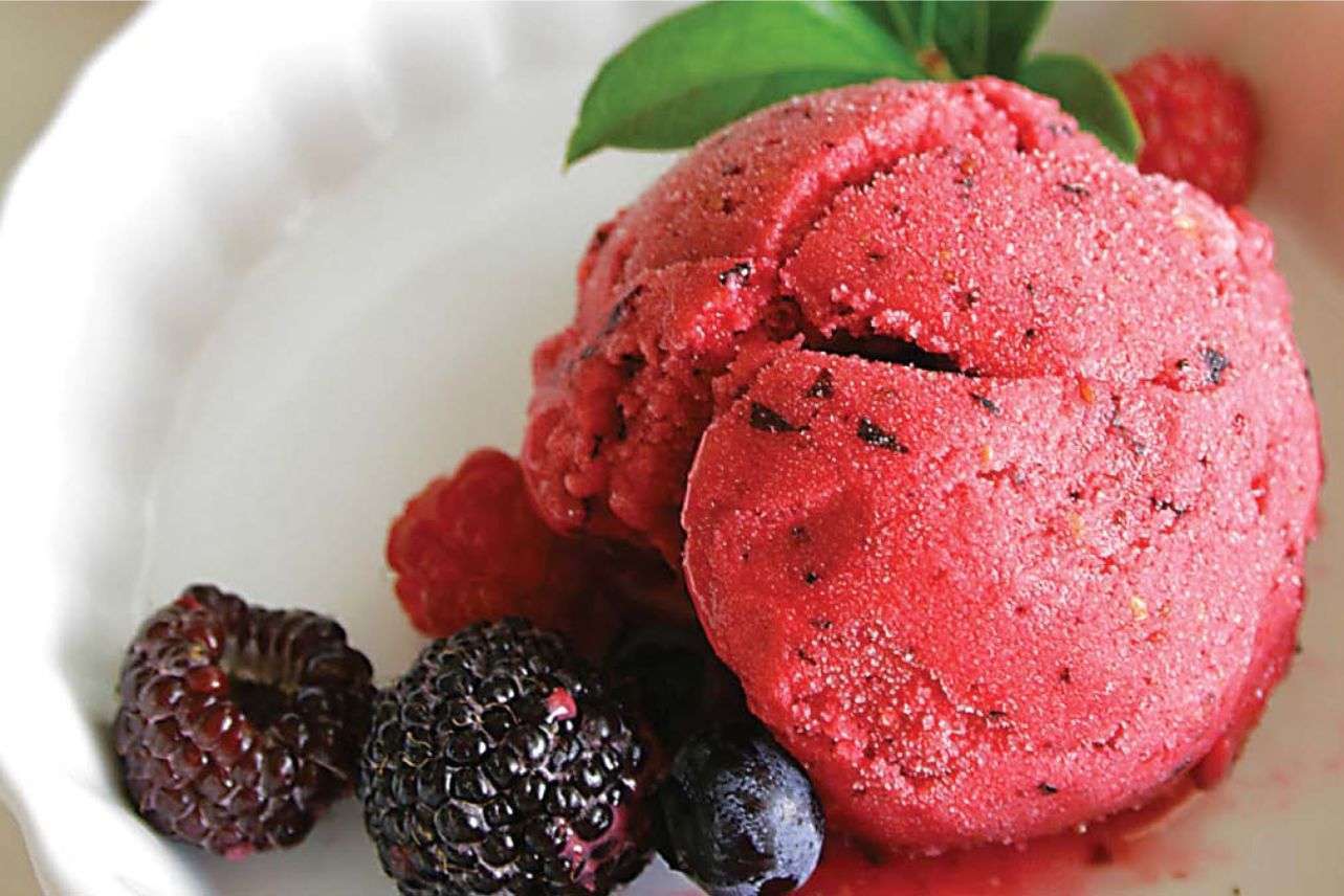 Наилучшие рецепты сорбета из замороженных ягод