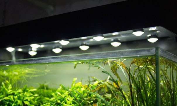 Светодиодные лампы для аквариума