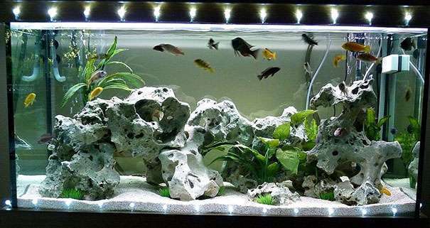 Светодиодные лампы в аквариум