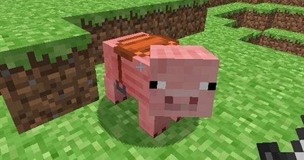 Оседланная свинья