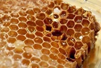 Вместе с медом сохраним уникальные лечебные свойства
