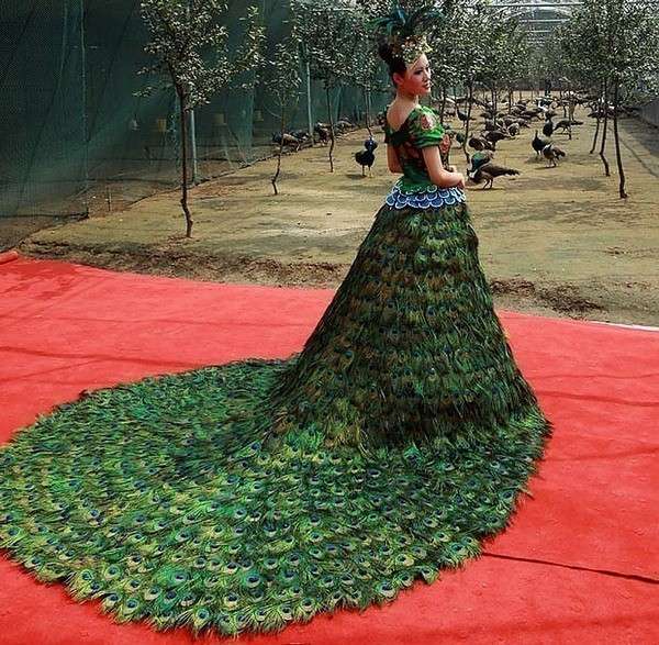 Платье из перьев павлина. Фото с сайта rbng1.livejournal.com