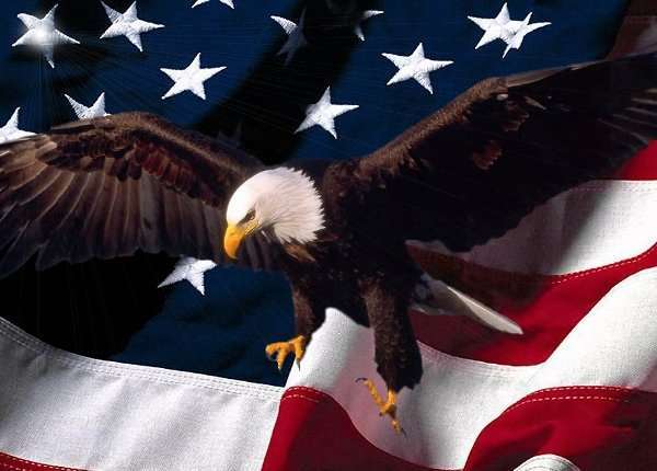 Орел в США - символ сразу нескольких штатов