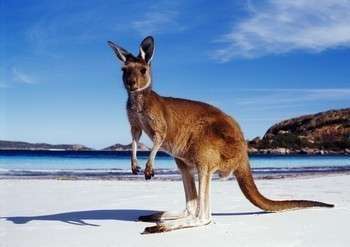 Австралия: открытие материка. Фото с сайта mostinfo.su