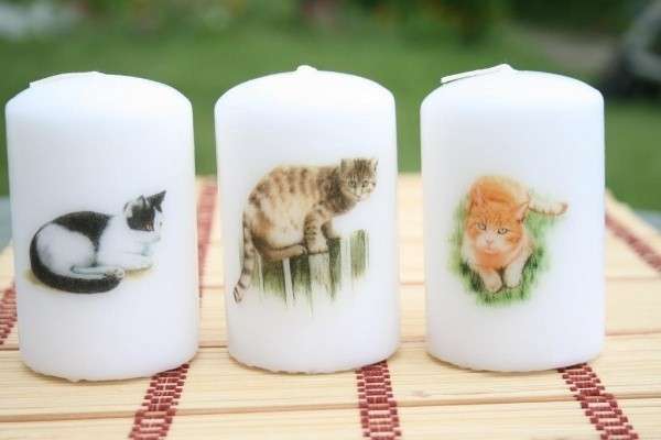 свечи с котами