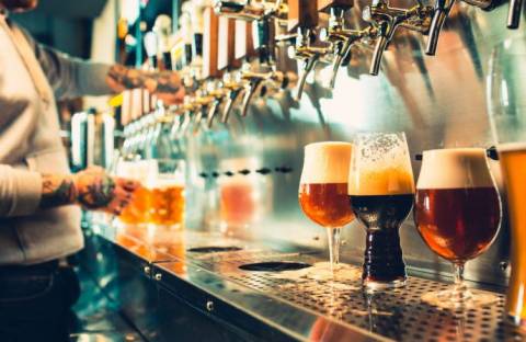 Сомелье на дому: как правильно дегустировать пиво?