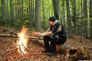 Как вести себя в лесу: основные правила поведения для детей и взрослых