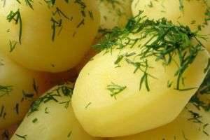 Как сварить картошку в мультиварке - помощь начинающим хозяйкам