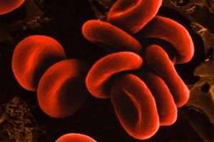 Что такое группа крови?