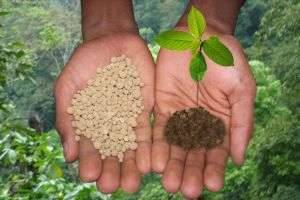 Удобрения для огорода: какие и для чего нужны, как их вносить в почву