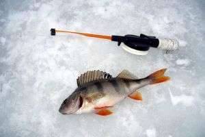 Ловля рыбы на мормышку зимой и летом