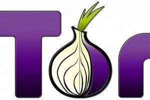 Что такое Tor Browser? Настройка, работа и удаление программы