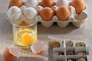 Сколько можно хранить свежие и вареные яйца в холодильнике?