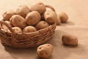 История появления картофеля на Руси