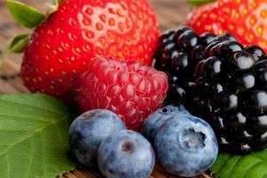 Удобрения для ягод: смородины, малины, голубики, земляники, крыжовника