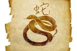 О чём шипит китайская змея?