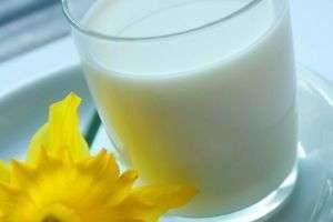 Чем полезно козье молоко? Прежде всего – умеренным потреблением со знанием дела