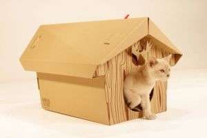 Заботимся о питомцах: как сделать домик для кошки своими руками