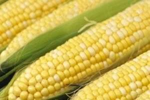 Как варить кукурузу?