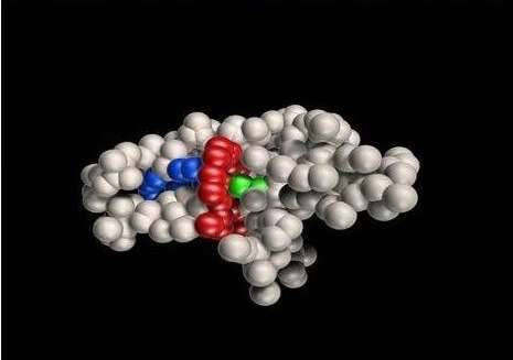 Что такое полимеры-белки и где они применяются?