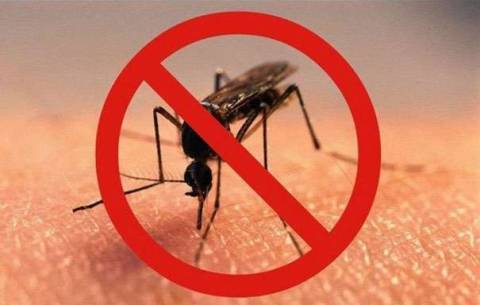 Лучшие покупные средства защиты от комаров в доме и на улице