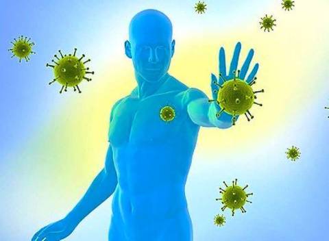 Характеристика иммунной системы человека