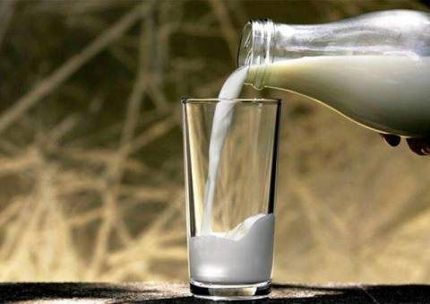 Несколько способов заменить молоко подручными средствами