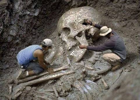 Самый большой скелет человека в мире: реальны ли фото или это вымысел?