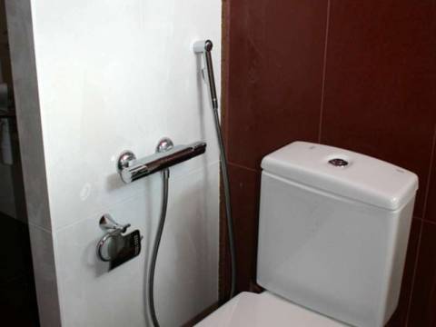 Гигиенический душ в туалете. Назначение и виды