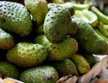 Гуанабана или фрукт, который лечит рак: свойства и особенности