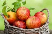 Как хранить яблоки зимой: где и в чем лучше держать фрукты, чтобы они остались свежими