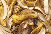 Банановая кожура как удобрение для комнатных растений и садовых цветов