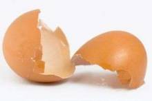 Польза яичной скорлупы: как правильно принимать ее