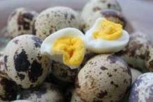Перепелиные яйца: сколько варить, чтобы получить вкусное блюдо