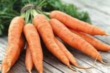 Как сажать морковь: советы огородникам